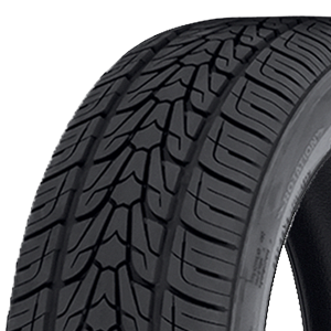 nexen tires roadian HP