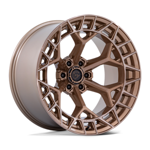 charger 6 FC873ZR platinum bronze